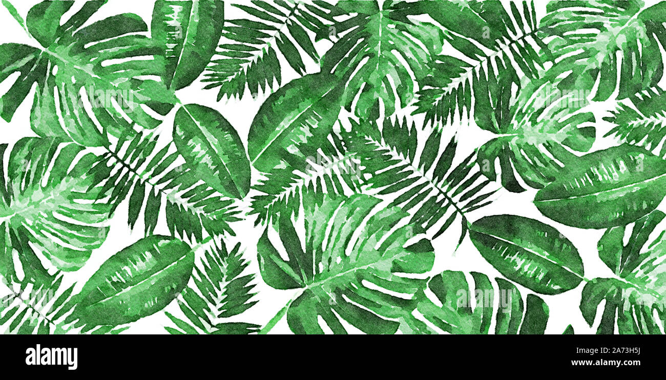 Arte digitale pittura - composizione mista di moda verde tropicale - foglie di monstera, Palm e Ficus elastica su uno sfondo bianco (effetto acquerello) Foto Stock