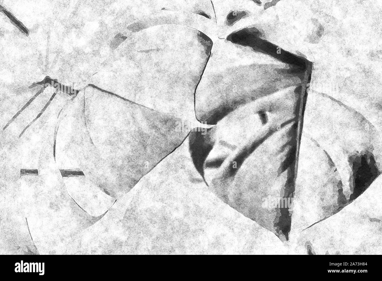 Arte digitale pittura - immagine negativa di una monstera tropicale lussureggiante fogliame - ideale per la parete alla moda decorazione canvas (effetto acquerello). Foto Stock