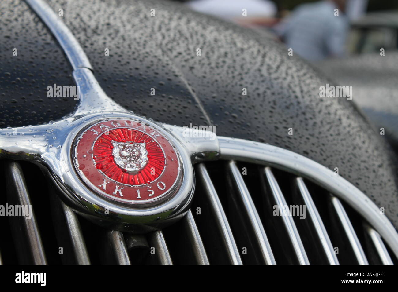 Il simbolo anteriore di una Jaguar XK 150 su una giornata umida Foto Stock