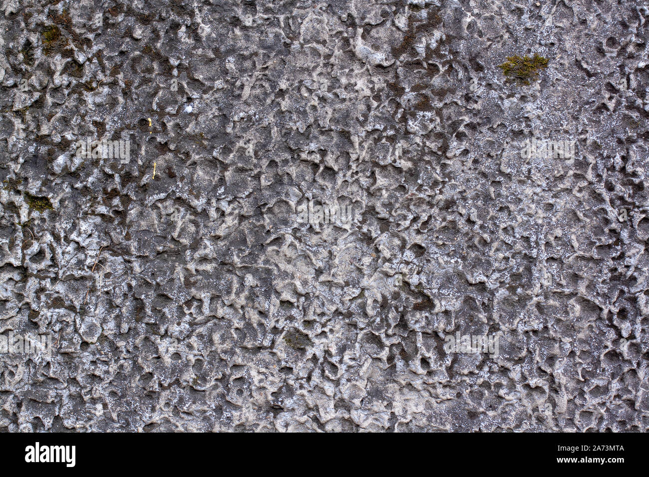 La tessitura di un vecchio muro di cemento con fori, incavi con verde muschio. La superficie porosa è grigio. Foto Stock
