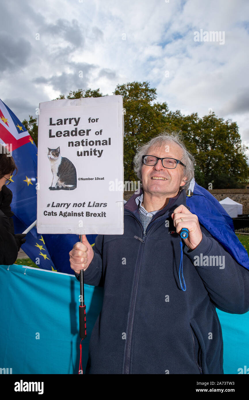 Westminster, Londra, Regno Unito. 29 ottobre, 2019. Un Brexit restano i diruttori contiene fino a Larry per Leader di unità nazionale, gatti contro Brexit segno. Credito: Maureen McLean/Alamy Foto Stock