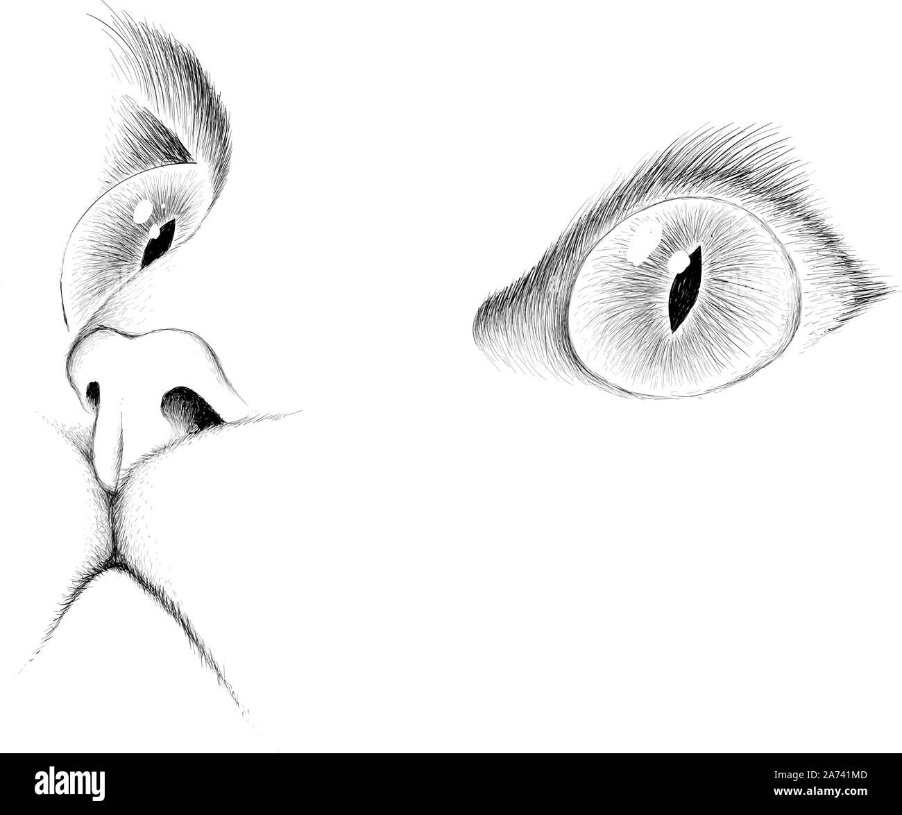 Il logo del vettore di gatto per tatuaggio o T-shirt design o abbigliamento esterno. Carino stile di stampa sfondo cat. Questo disegno sarebbe bello rendere sul tessuto nero Illustrazione Vettoriale