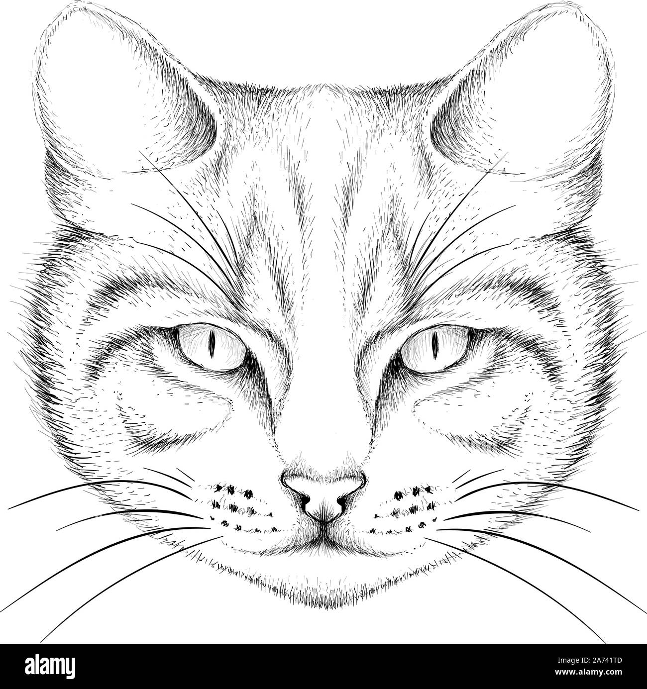 Il logo del vettore di gatto per tatuaggio o T-shirt design o abbigliamento esterno. Carino stile di stampa sfondo cat. Questo disegno sarebbe bello rendere sul tessuto nero Illustrazione Vettoriale