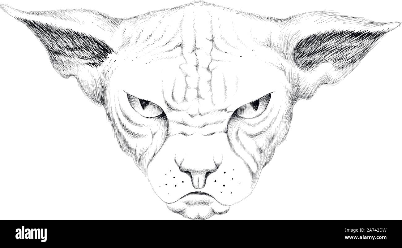 Il logo del vettore di gatto per tatuaggio o T-shirt design o abbigliamento esterno. Carino stile di stampa sfondo cat. Questo disegno sarebbe bello rendere sul tessuto nero Illustrazione Vettoriale