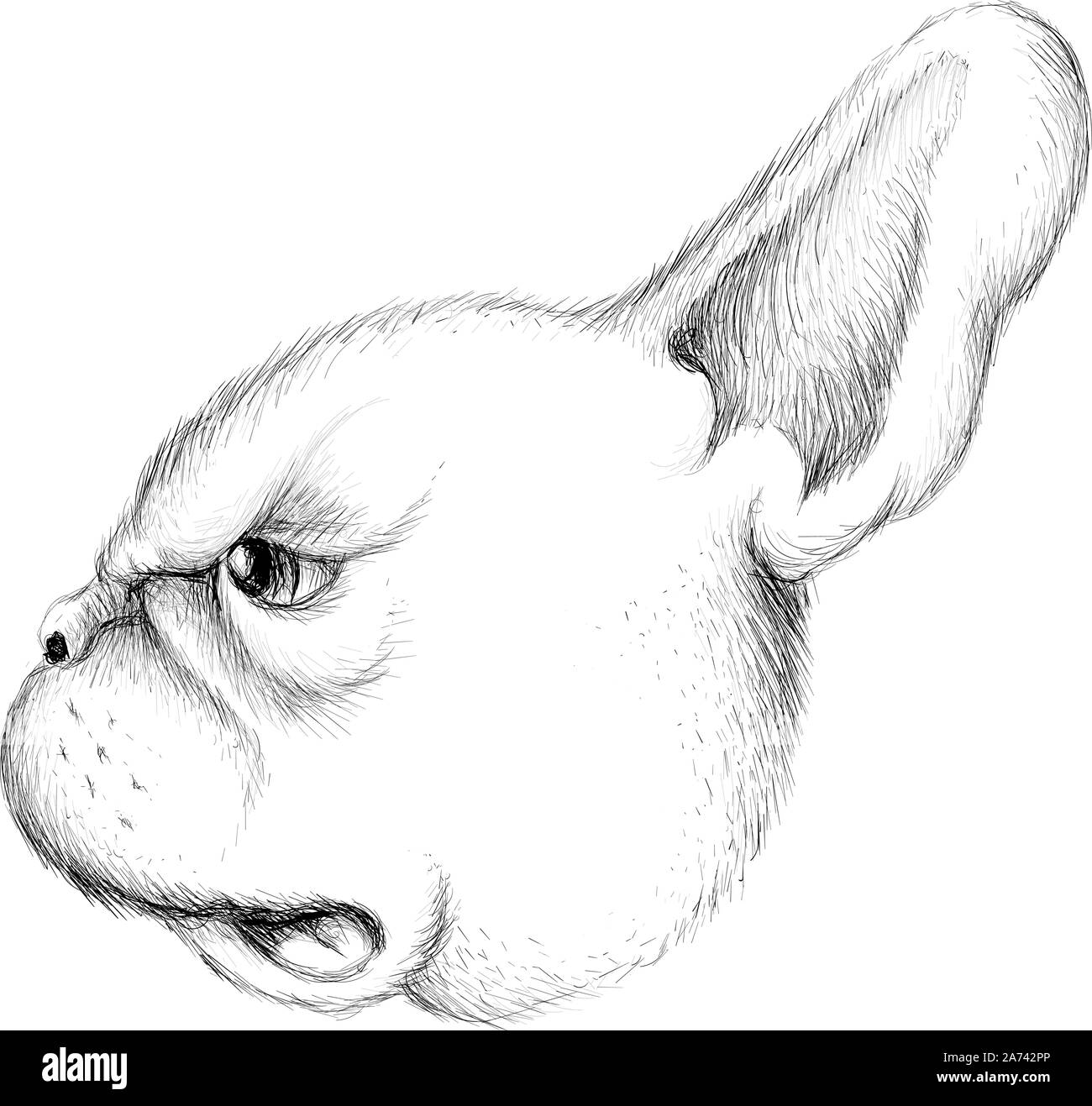 Il logo del vettore o del cane lupo per tatuaggio o T-shirt design o abbigliamento esterno. Carino stile di stampa cane lupo o sfondo. Questo disegno sarebbe bello rendere o Illustrazione Vettoriale