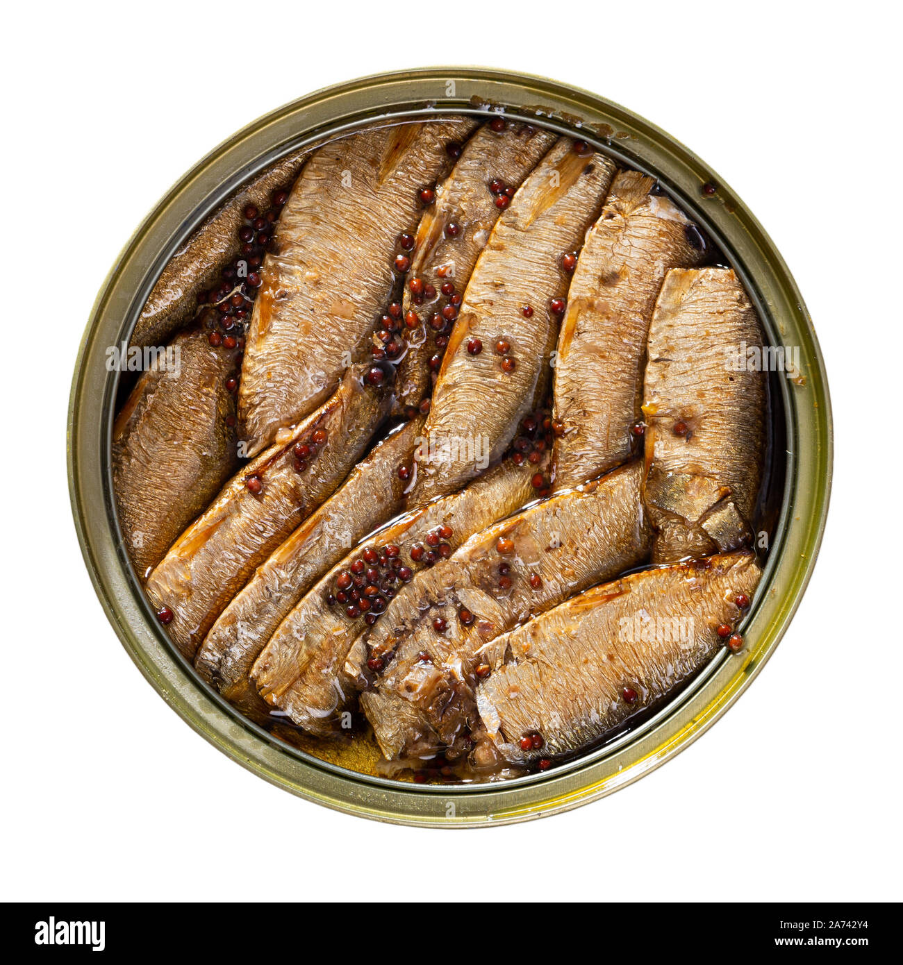 Aprire può di piccole affumicato di sardine da Riga in olio. Isolato su sfondo bianco Foto Stock