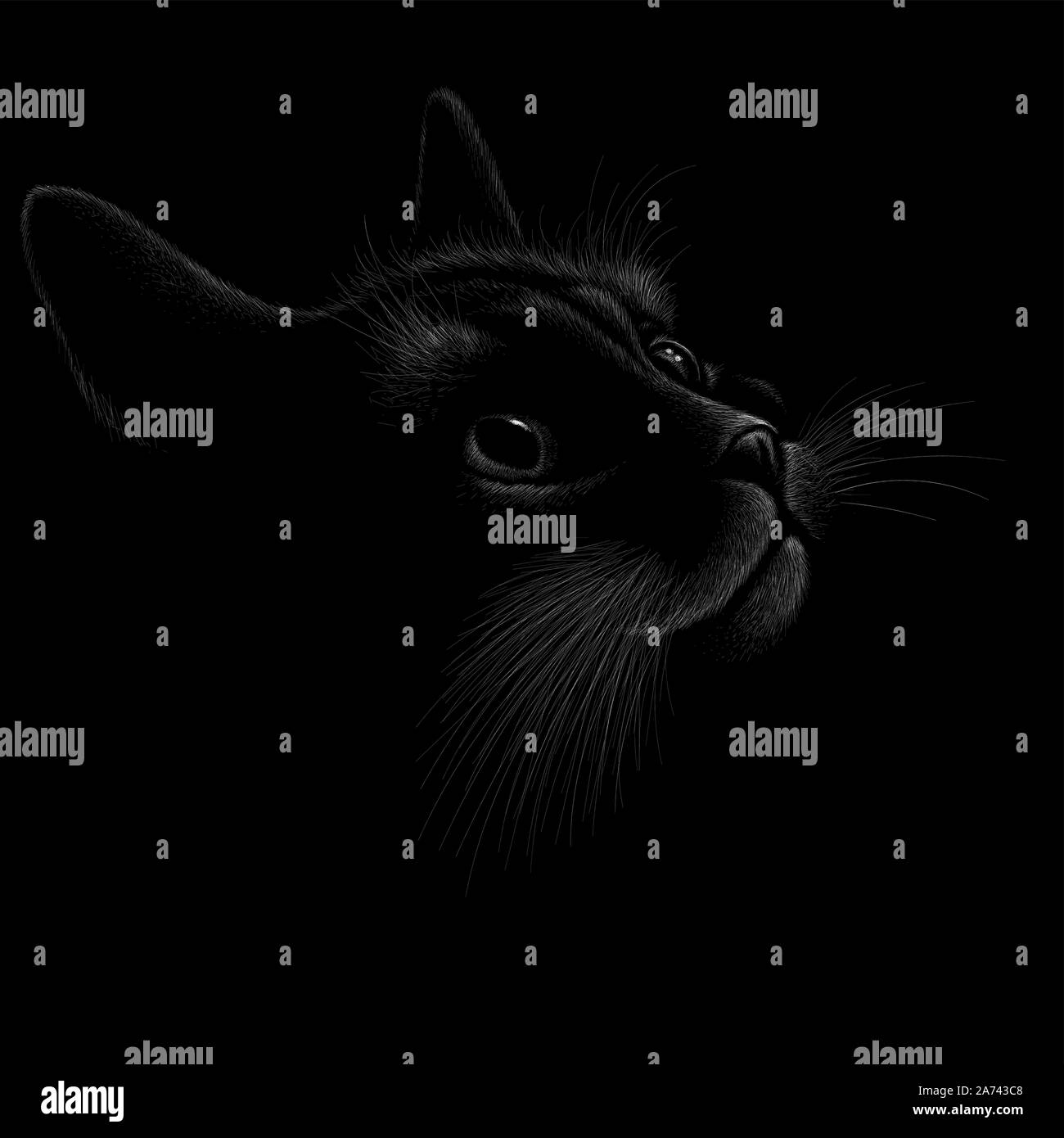 Il logo del vettore di gatto per tatuaggio o T-shirt design o abbigliamento esterno. Carino stile di stampa sfondo cat. Questo disegno sarebbe bello rendere sul tessuto nero Illustrazione Vettoriale