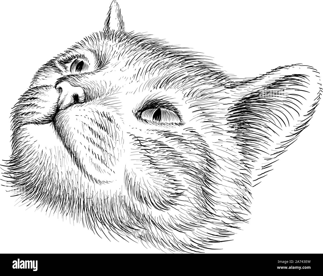Il logo del vettore di gatto per tatuaggio o T-shirt design o abbigliamento esterno. Carino stile di stampa sfondo cat. Questo disegno sarebbe bello rendere sul tessuto nero Illustrazione Vettoriale