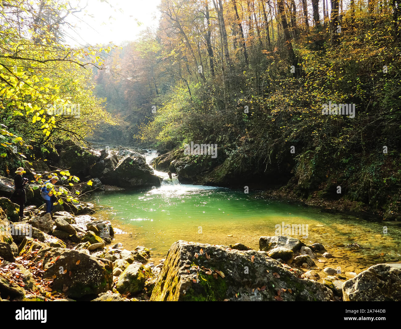 Bella vista del fiume di montagna tra alberi di legno di bosso in autunno Foto Stock