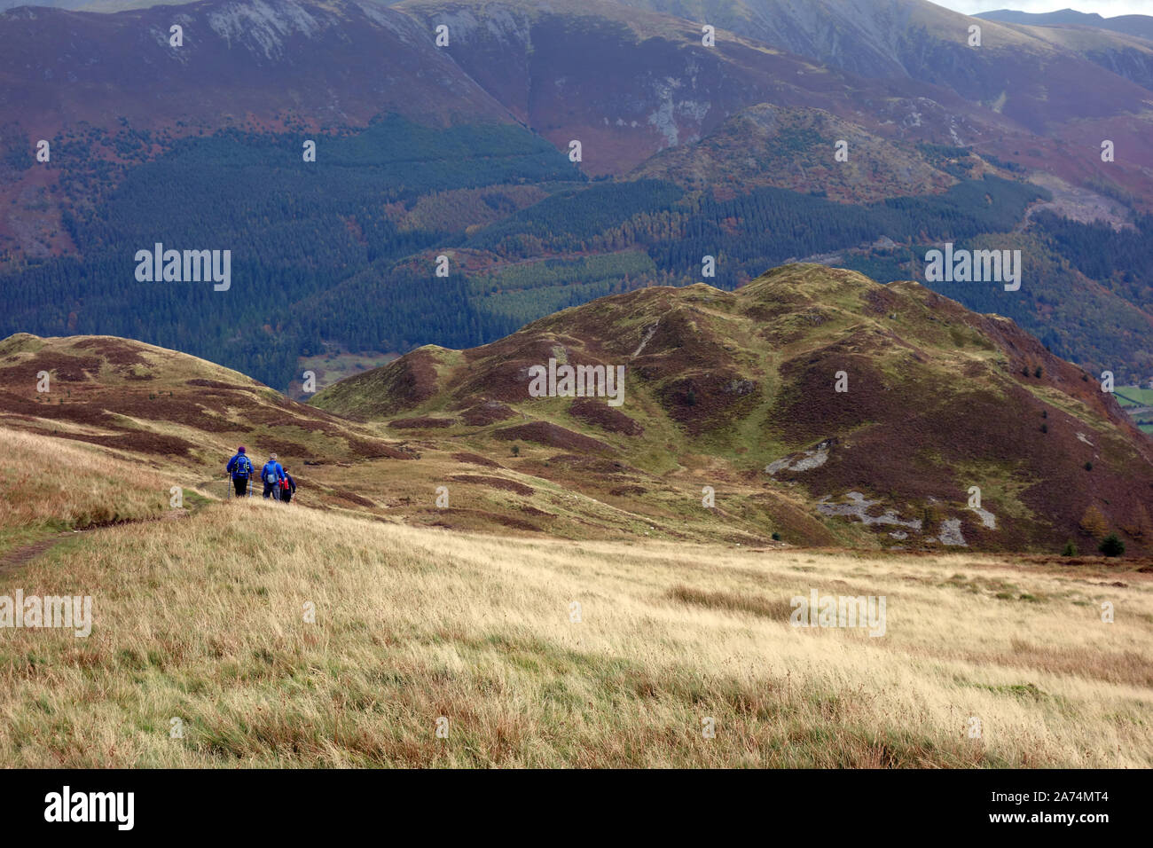 Tre gli escursionisti a piedi per la Wainwright 'Barf' dal nelle vicinanze Lords sede nel Parco Nazionale del Distretto dei Laghi, Cumbria, England, Regno Unito Foto Stock