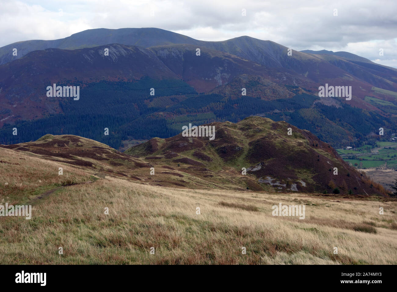 La Wainwright 'Barf' e la Skiddaw Mountain Range da nelle vicinanze Lords sede nel Parco Nazionale del Distretto dei Laghi, Cumbria, England, Regno Unito Foto Stock