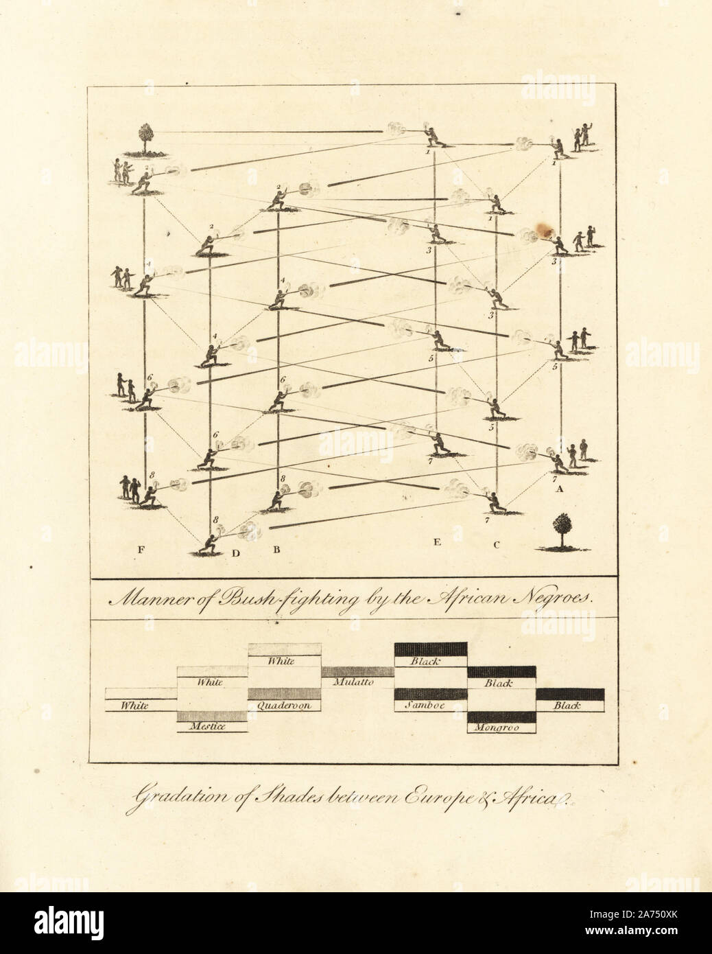 Modo di Bush-combattimenti da parte di negri africani e la gradazione di tonalità tra l Europa e l Africa. Schema di guerriglia praticata dai ribelli di Bordeaux e il grafico di nomi per la razza mista prole: nero, mongroo, samboe, mulatto, quaderoon, mestice e bianco. Incisione su rame dopo un disegno originale dal capitano John Gabriel Stedman dal suo "narrativa di un cinque anni di spedizione contro gli si ribellò negri del Suriname,' J. Johnson, Londra, 1813. Foto Stock