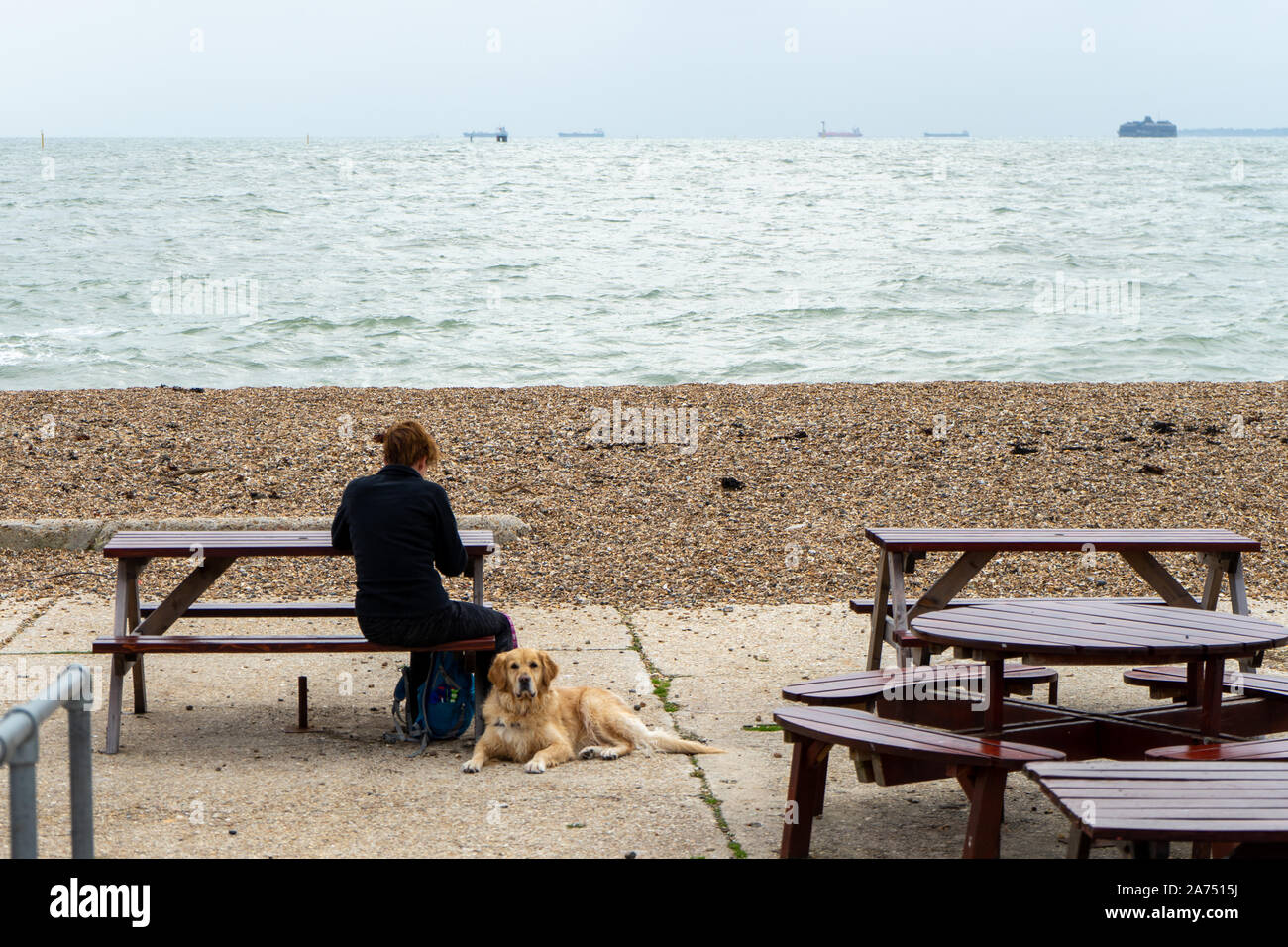 Una donna seduta con il suo cane su una panchina in riva al mare Foto Stock