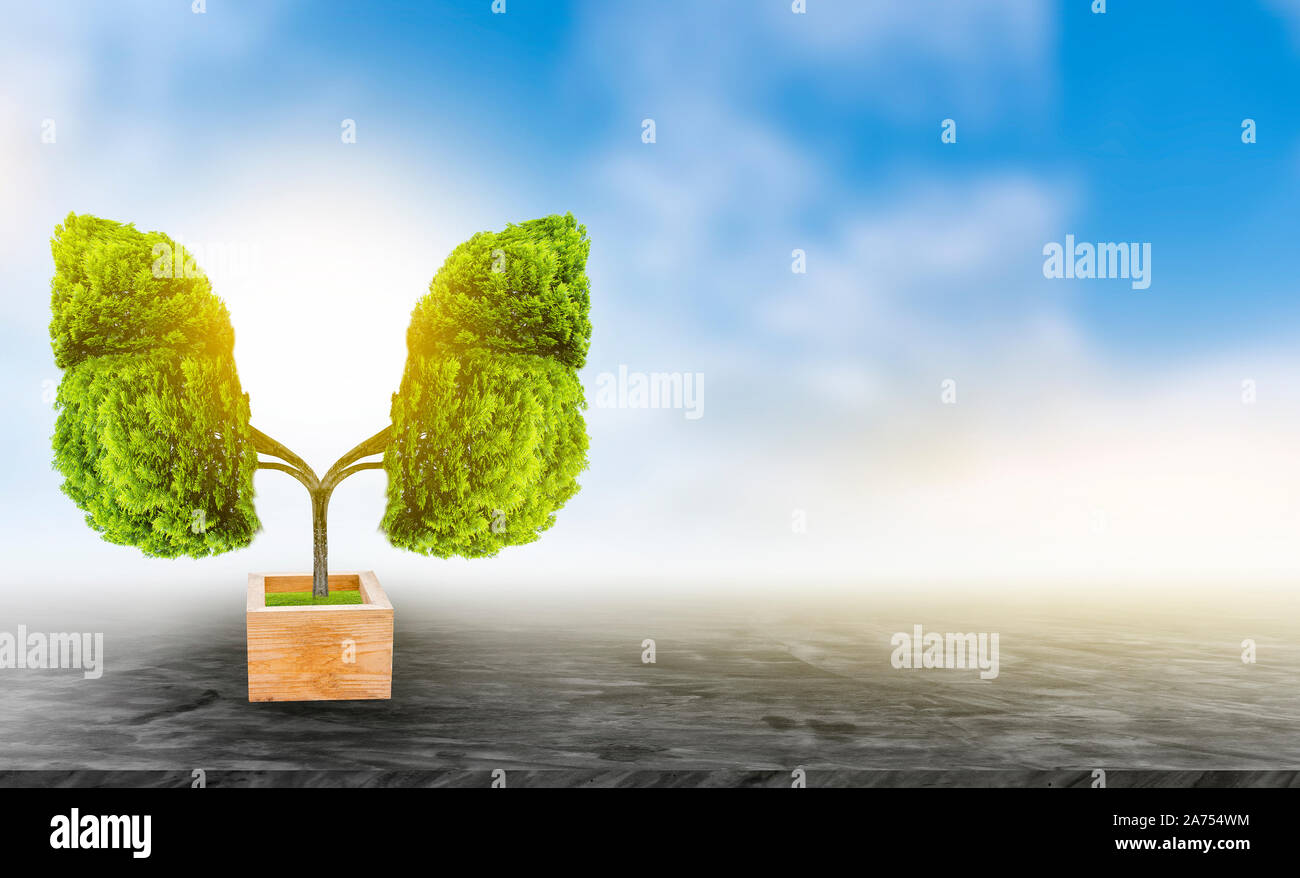 Polmone verde a forma di albero di immagini, concetti medici, autopsia, visualizzazione 3D e animali come un elemento Foto Stock