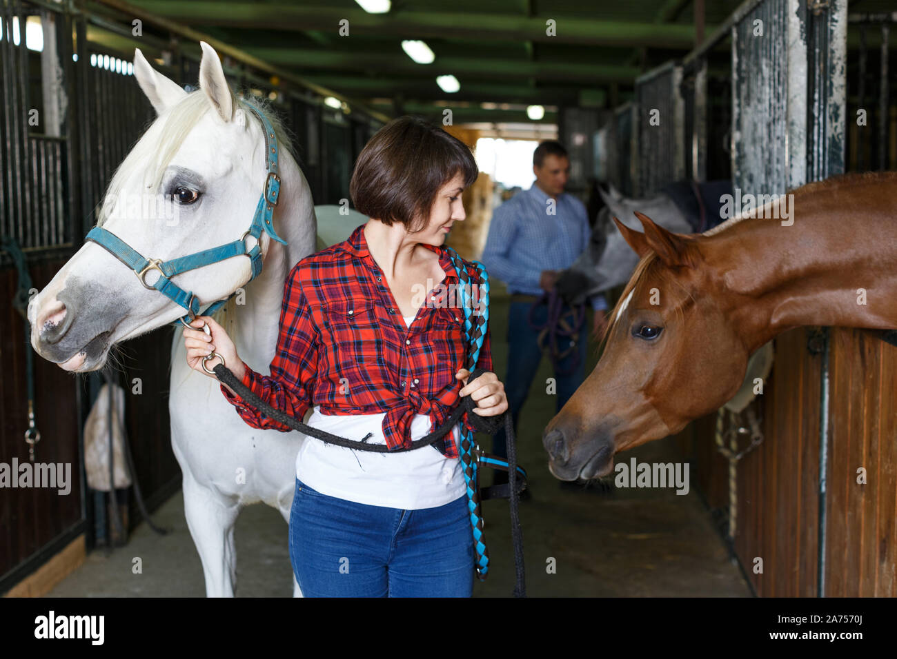 Ritratto di giovane donna attraente che lavora a cavallo stabile Foto Stock