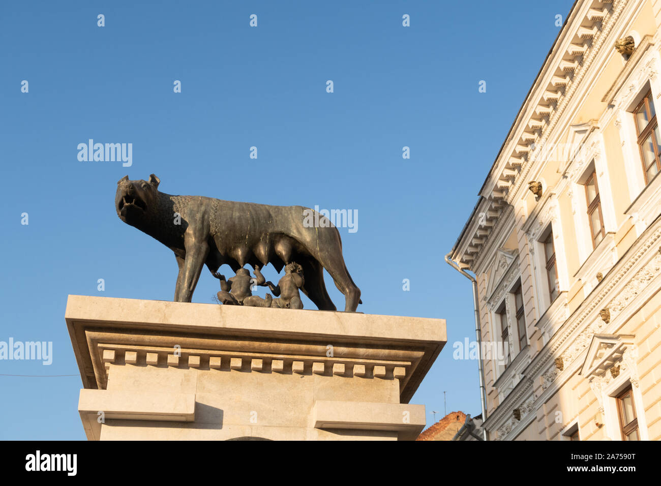 Cluj Napoca, Romania - 24 OTT 2019: Il lupo capitolino statua (Statuia Lupoaicei) in Cluj-Napoca si trova sul Boulevard Eroilor nel centro della città Foto Stock