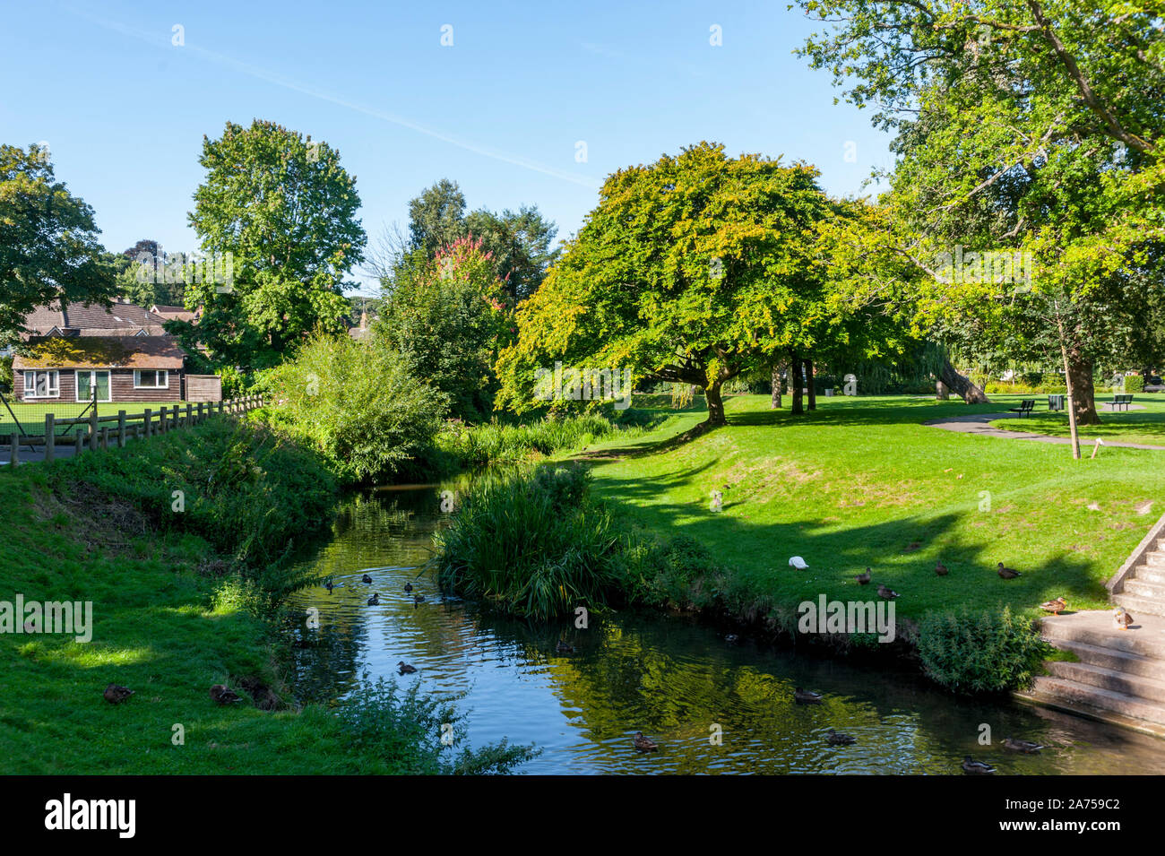 Il fiume Wey a Gostrey Meadows Farnham Surrey Foto Stock