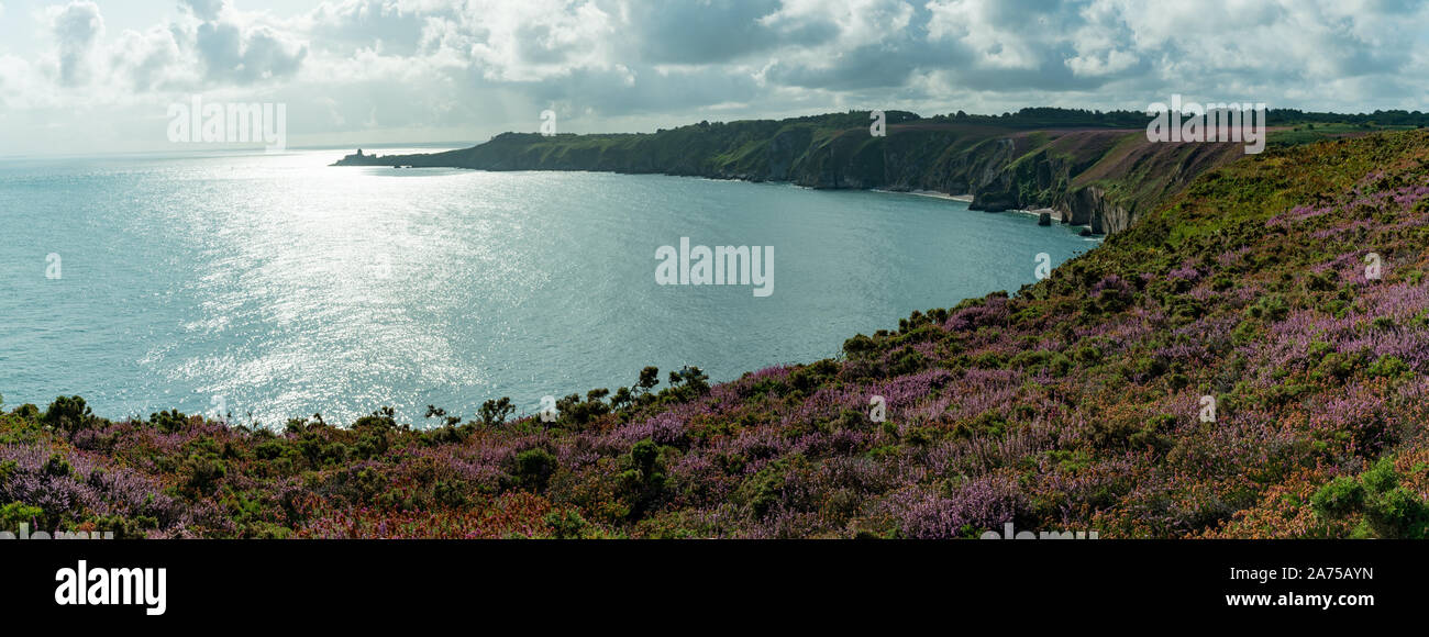 La brughiera colorati prati e sharp clifffs sulla costa dell'oceano paesaggio Natura in Bretagna Foto Stock