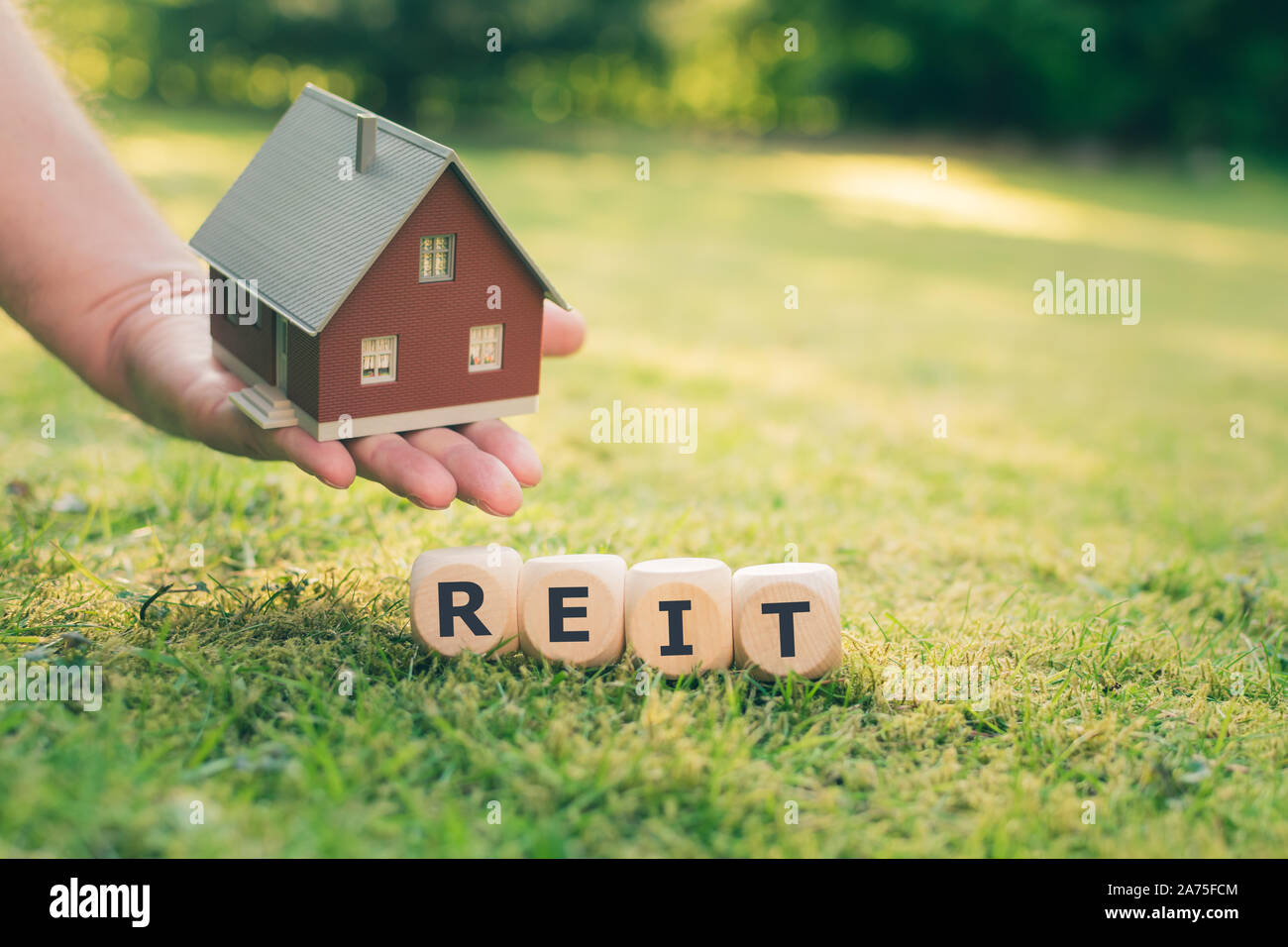 Cubi formano la sigla 'it' (Real Estate Investment Trust) accanto a un modello di casa. Foto Stock