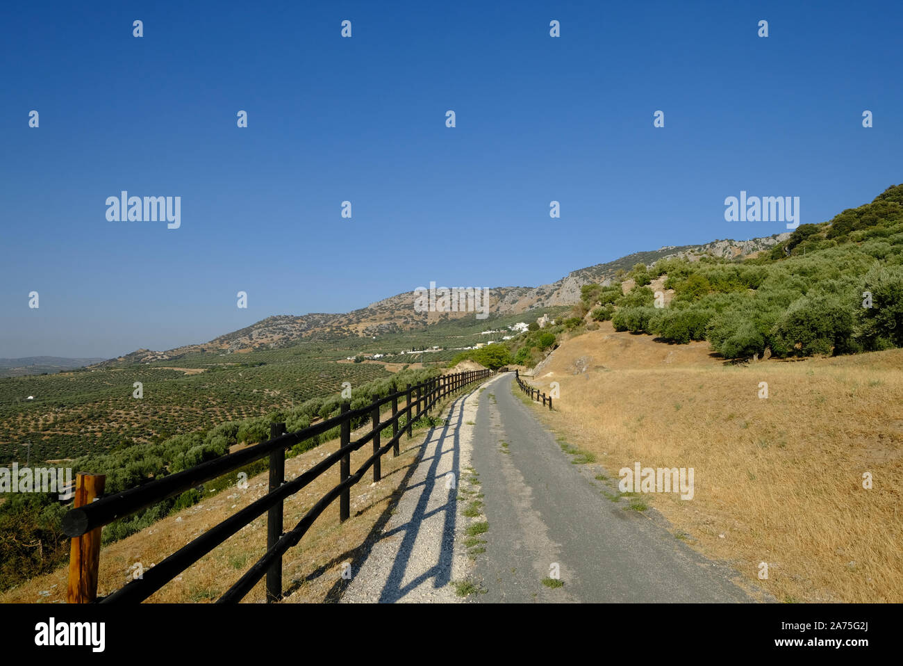 La Via Verde, una in disuso olio di oliva linea ferroviaria, ora una passeggiate a piedi e in bicicletta il percorso vicino a Zuheros in Sierra Subbetica, Andalusia. Foto Stock