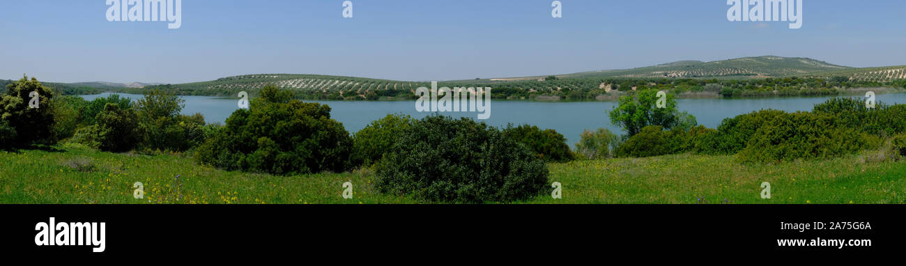 Laguna de Zóñar, il più grande di una serie di navigazione laghi salini nel sud della provincia di Cordoba e la più profonda in Andalusia. Aguilar de la Frontera. Spagna Foto Stock