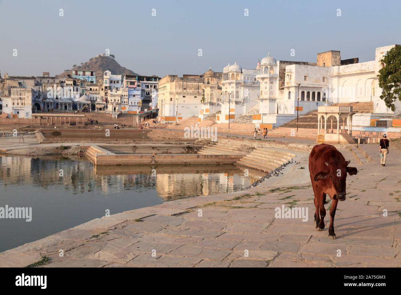 India Rajasthan, Pushkar città santa, Ghats di balneazione sul Lago Foto Stock