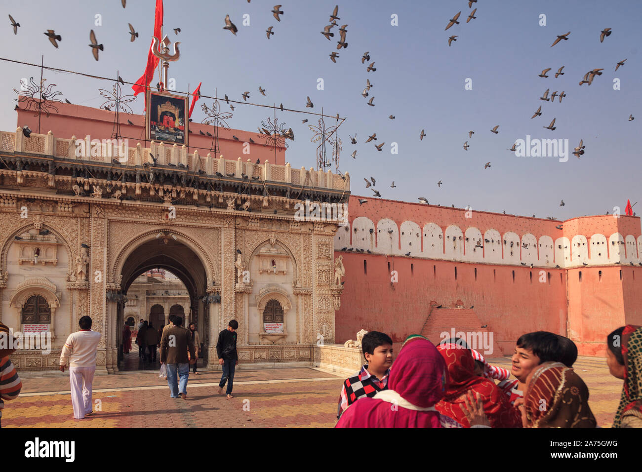 India Rajasthan, Deshnok, Karni Mata Temple (Tempio Rat) Foto Stock