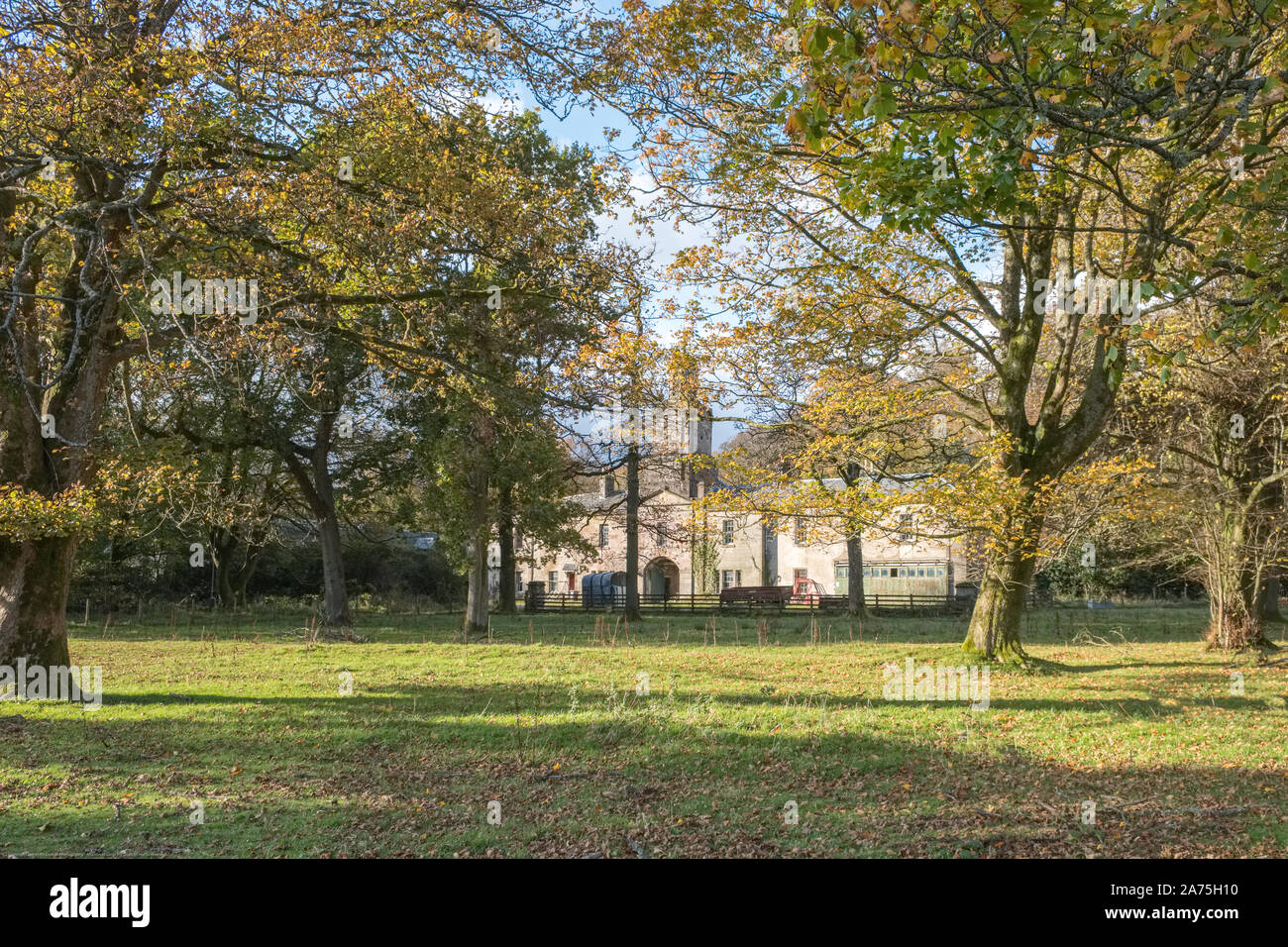 Ardgowan, Inverkip, Scotland, Regno Unito - 26 Ottobre 2019: cerca su alberi d'autunno al vecchio antica scuderia a Ardgowan Inverkip in Scozia con il suo un Foto Stock