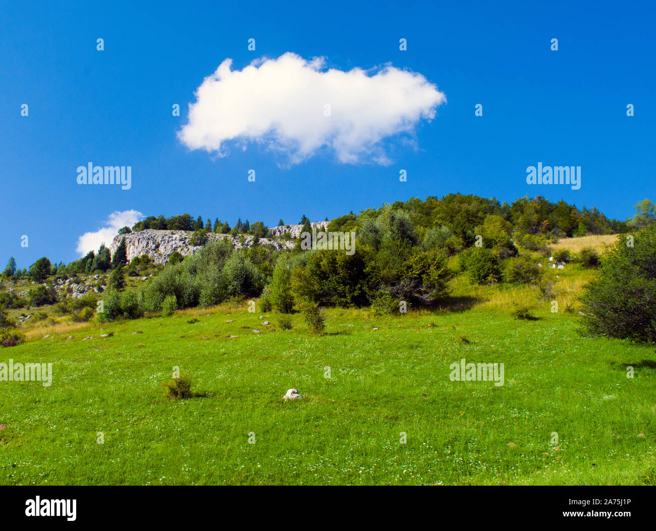 Un bellissimo paesaggio montano durante l'estate, paesaggio situato vicino a un villaggio remoto nel mezzo dei Carpazi meridionali. Foto Stock