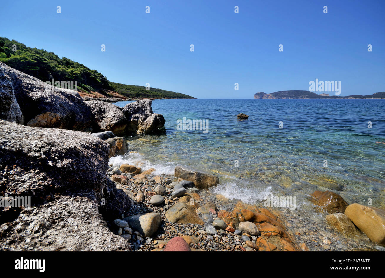 Mare e rocce di Punta Giglio promontorio di Porto Conte Parco naturale in Sardegna in una giornata di sole. Capo Caccia cliff in background Foto Stock