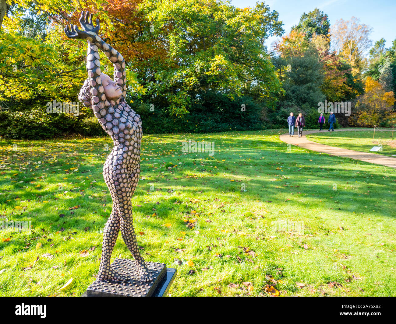 La gente camminare nel paesaggio reale, Savill Gadens, Surrey, England, Regno Unito, GB. Foto Stock