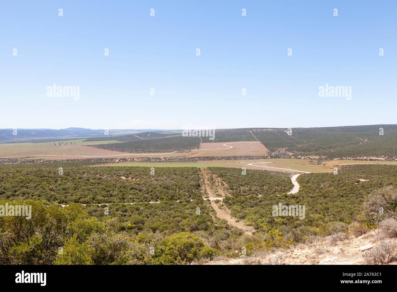 Addo Elephant National Park panoramica dall'Zuurkop Lookout, Capo orientale, Sud Africa, il terzo più grande parco faunistico nel paese Foto Stock