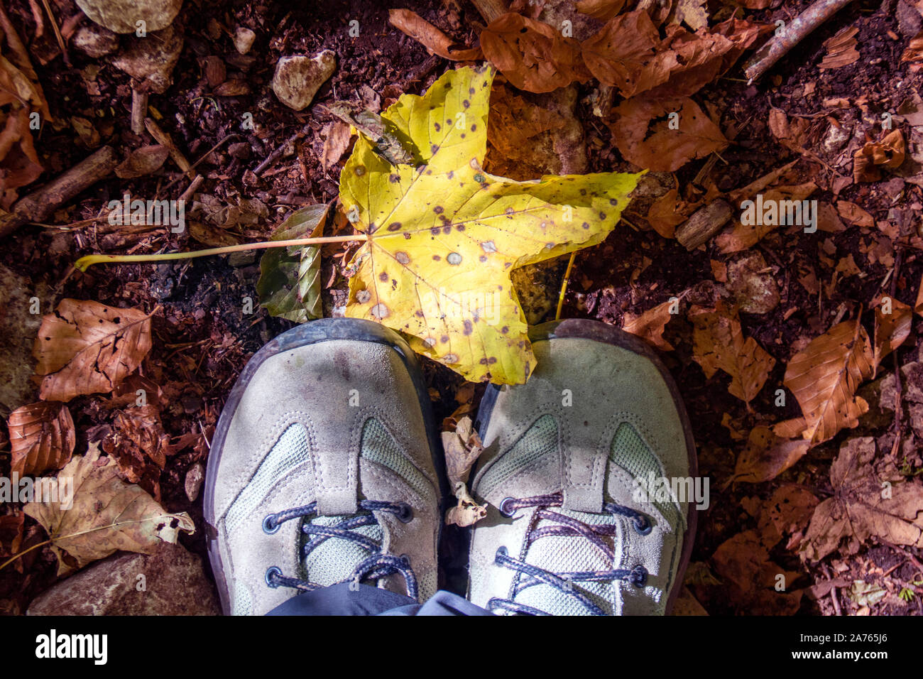 Coppia di scarpe da trekking sul suolo coperto di foglie cadute nel parco nazionale d'Abruzzo, Italia Foto Stock