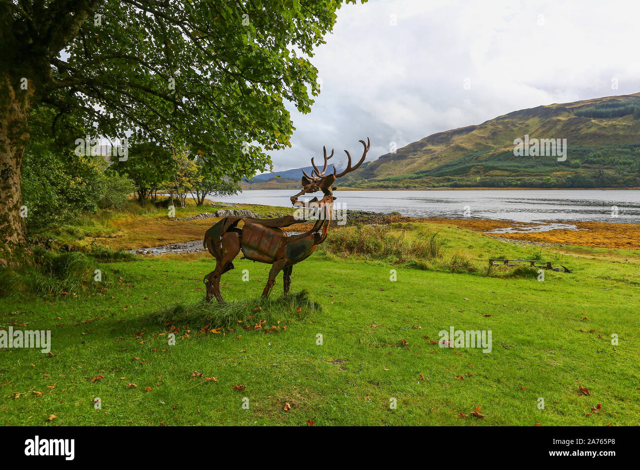 Un cervo realizzato a partire da rottami di metallo al Rahoy estate sulle rive di Loch Teacuis, Morvern, Highlands scozzesi, Scozia Foto Stock