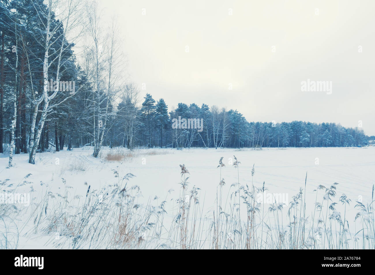 Incantevole paesaggio invernale, laghi e foreste. Foto Stock