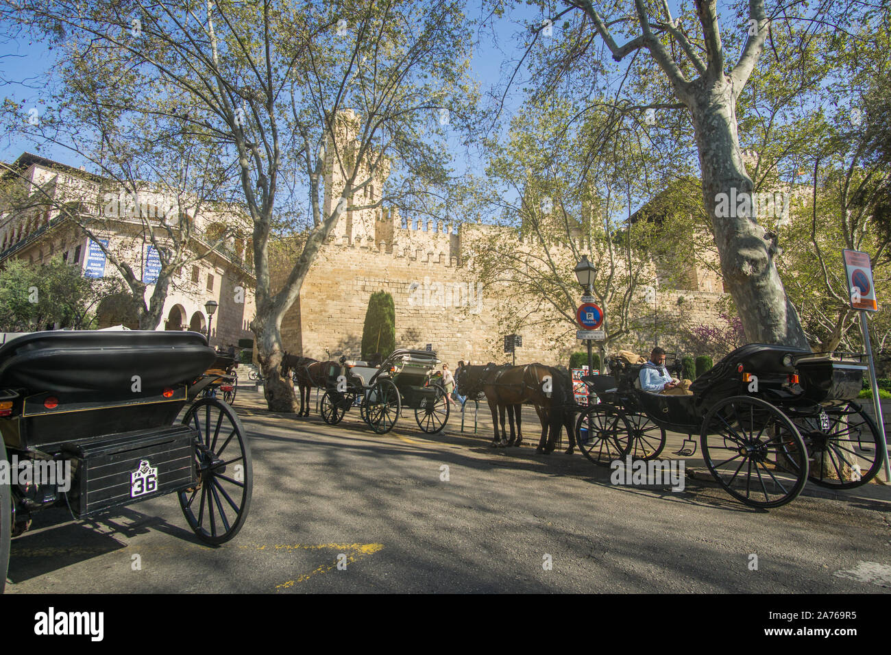 Cavalli e carrozze in attesa al di fuori della sorprendente Catedral-Basílica de Santa María de Mallorca chiesa in Palma de Mallorca. Foto Stock