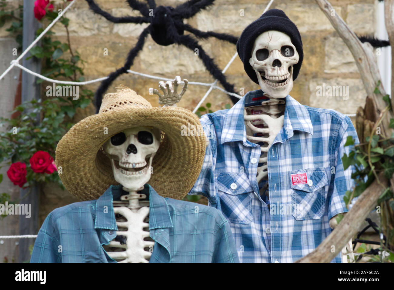 Decorate casa per la festa di Halloween in Cotswolds, scheletri andare campeggio Foto Stock