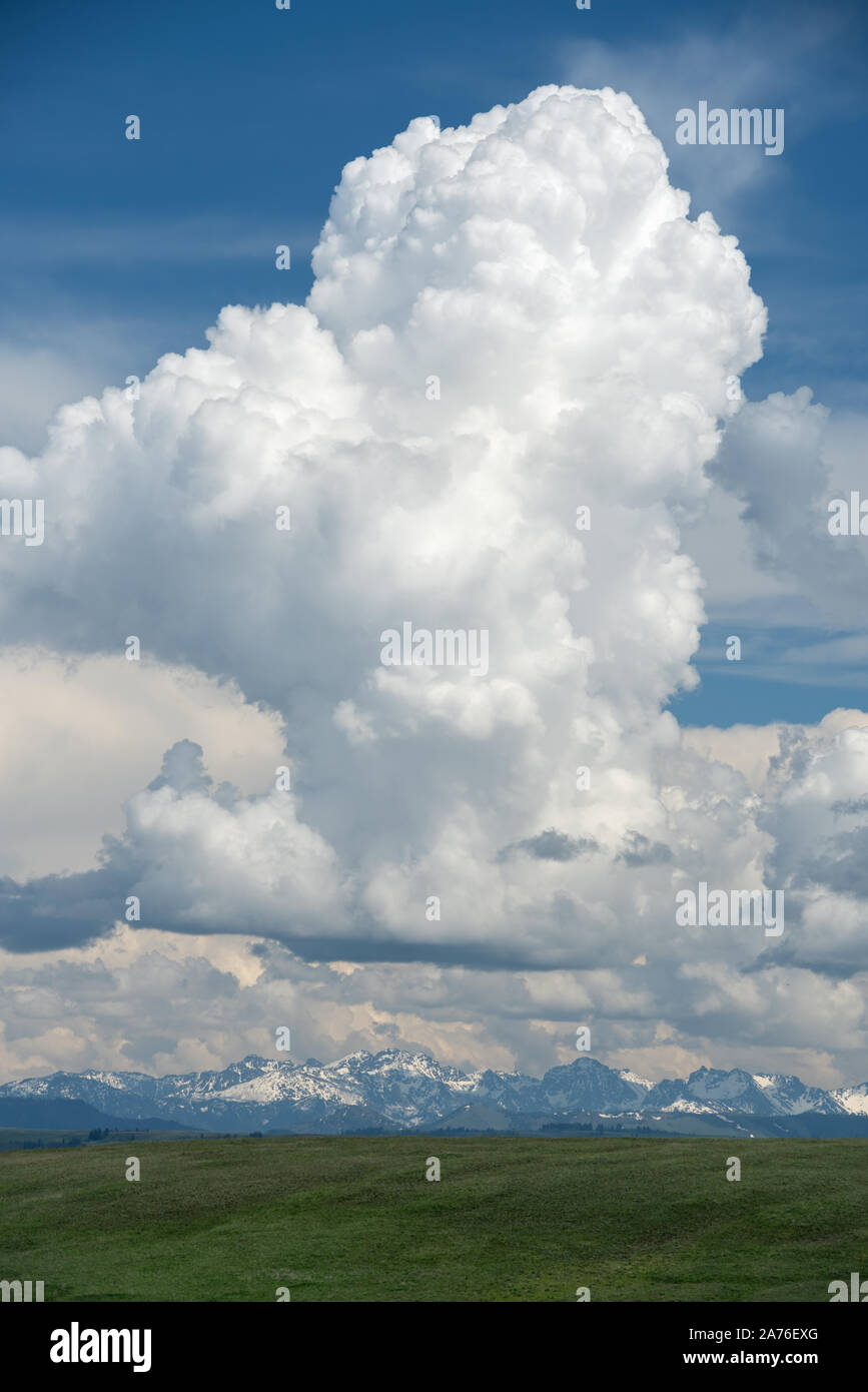 Nuvole temporalesche oltre il millefiori Zumwal chiodati Prairie nella zona nord-est di Oregon. Foto Stock