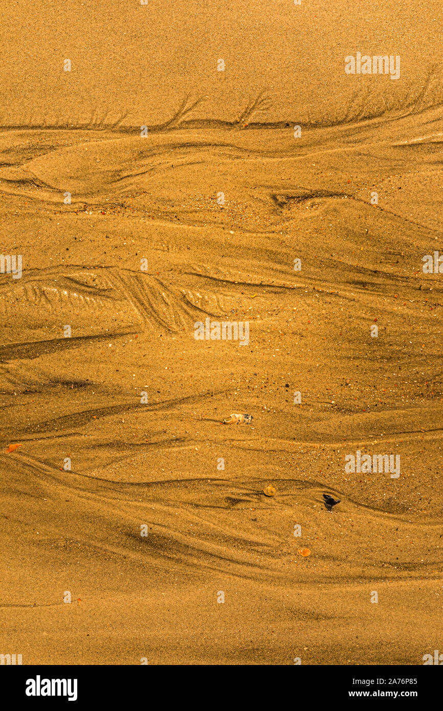 Close-up di sabbia con modi di marea e conchiglie sulla spiaggia, piena di tessitura del telaio Foto Stock