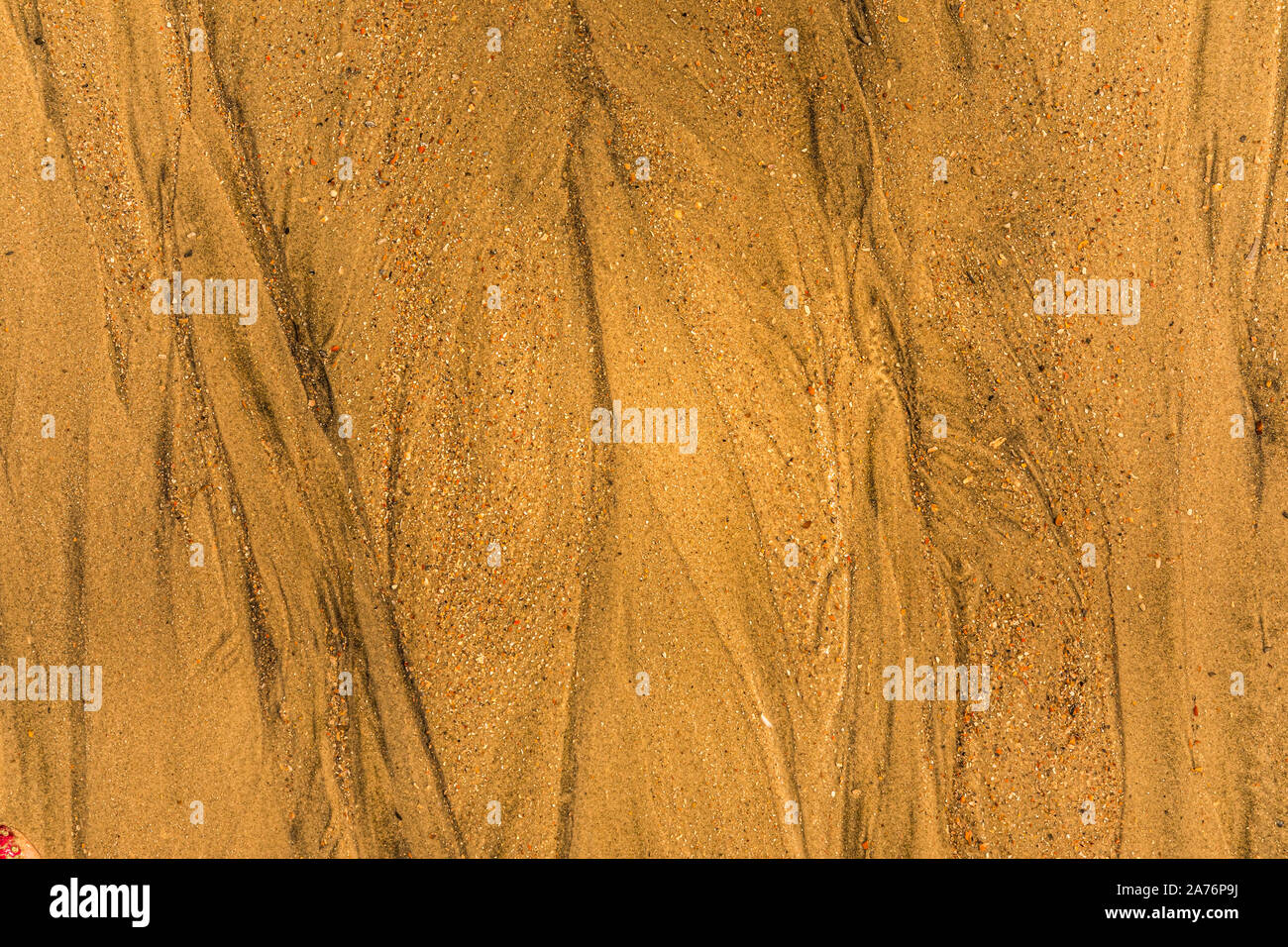 Close-up di sabbia con modi di marea e conchiglie sulla spiaggia, piena di tessitura del telaio Foto Stock