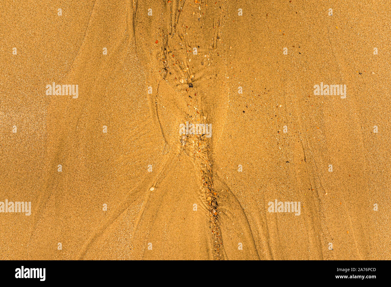 Close-up di sabbia con modi di marea e conchiglie sulla spiaggia, piena di tessitura del telaio Foto Stock