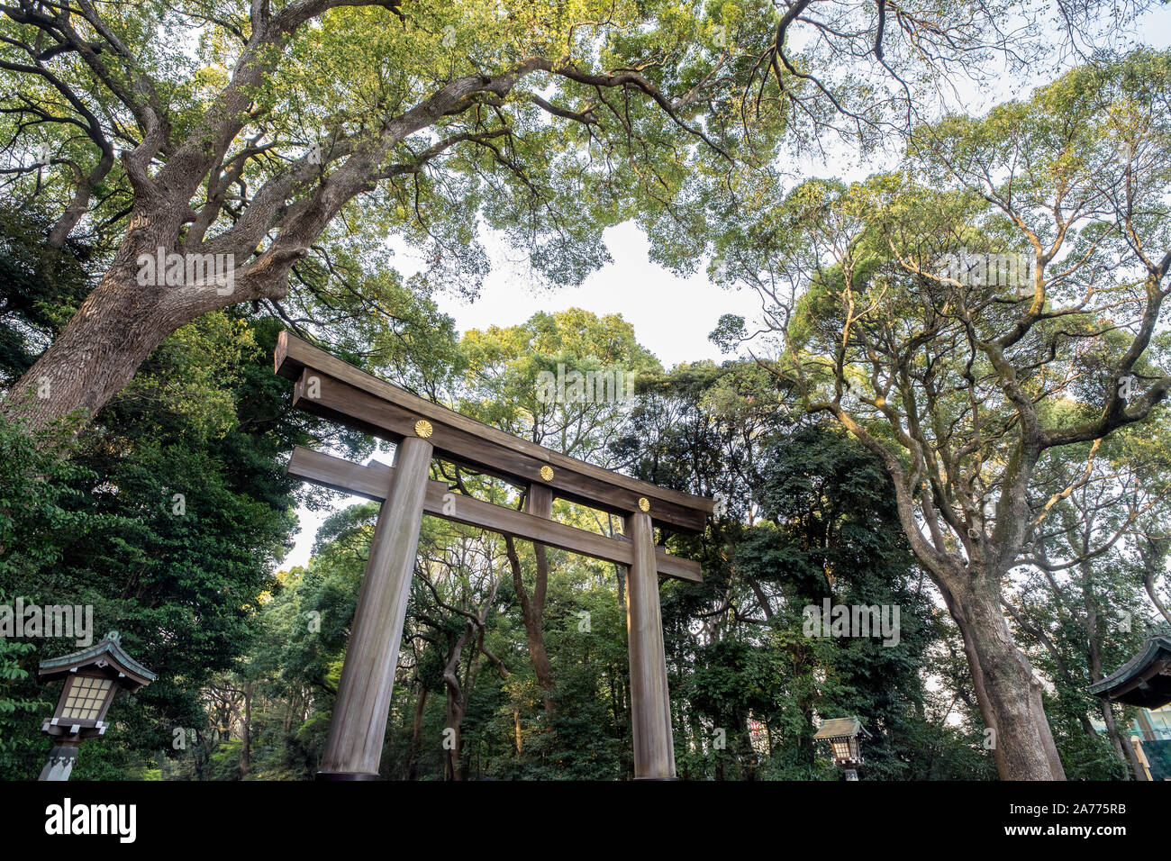 Torii a Yoyogi Park Foto Stock