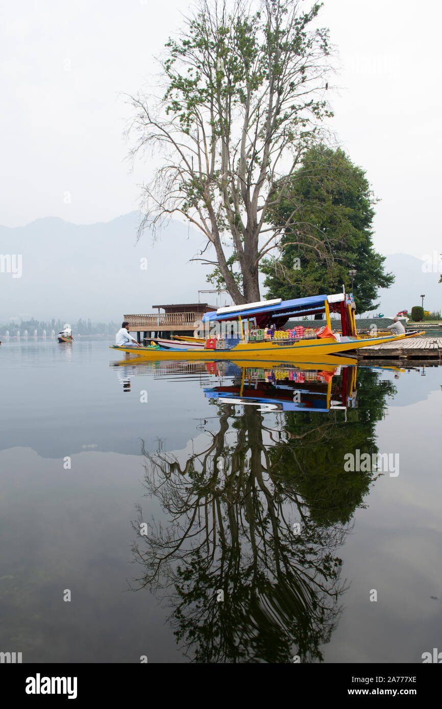 Dal lago, Srinagar. Mattinata tranquilla Foto Stock