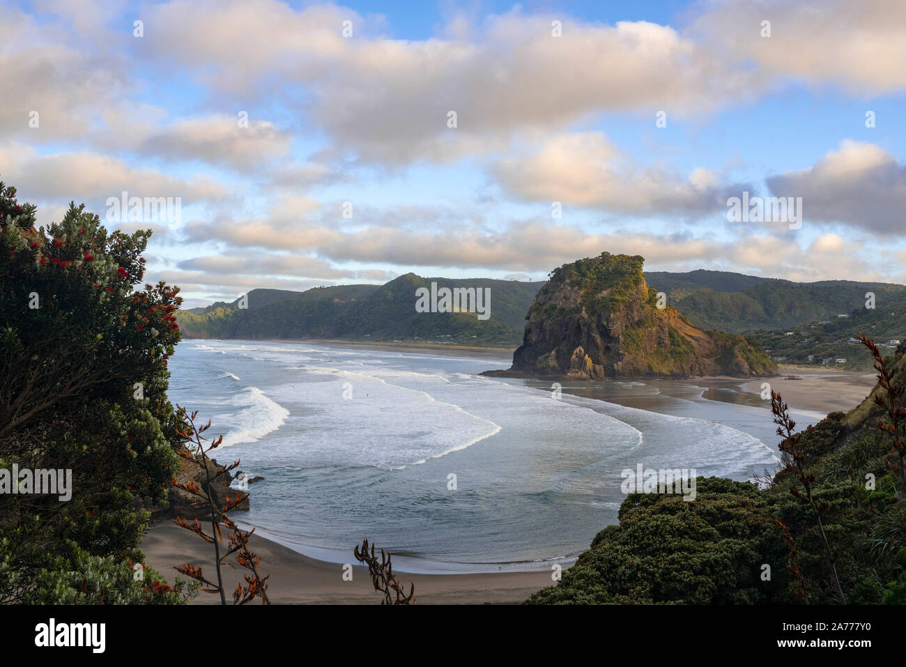 Piha, Auckland. Vista di Lion Rock Foto Stock