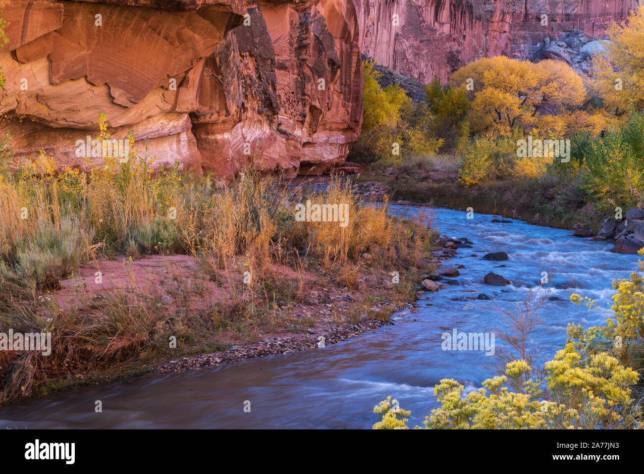 Fremont fiume nel Parco nazionale di Capitol Reef vicino a Torrey, Utah Foto Stock