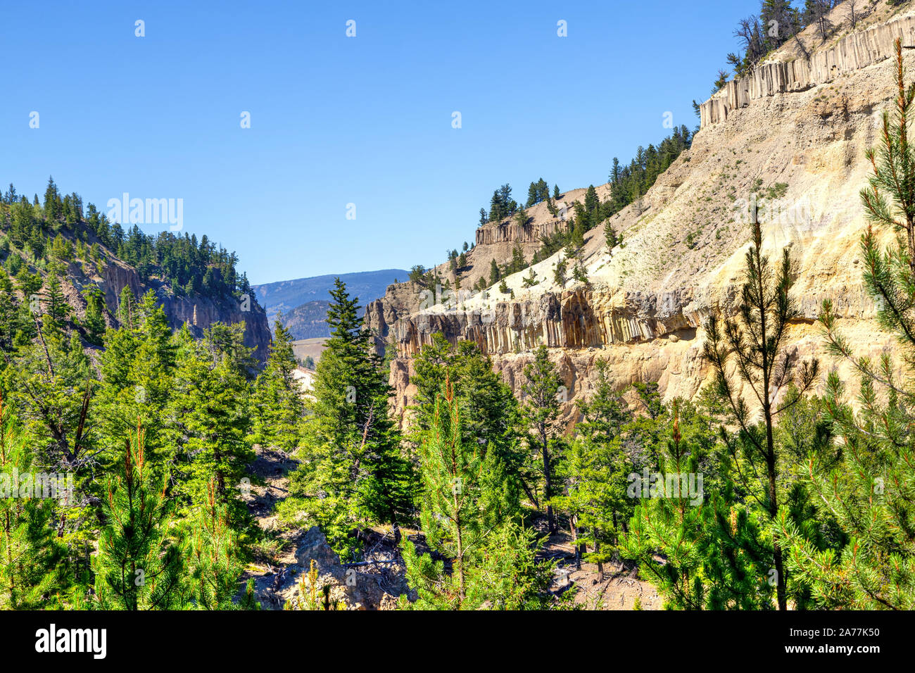 Rupe a strapiombo nella torre rientrano nel Parco Nazionale di Yellowstone sono enormi colonne di roccia formata da un flusso di lava 1,3 milioni di anni fa. Il basalto verticale c Foto Stock