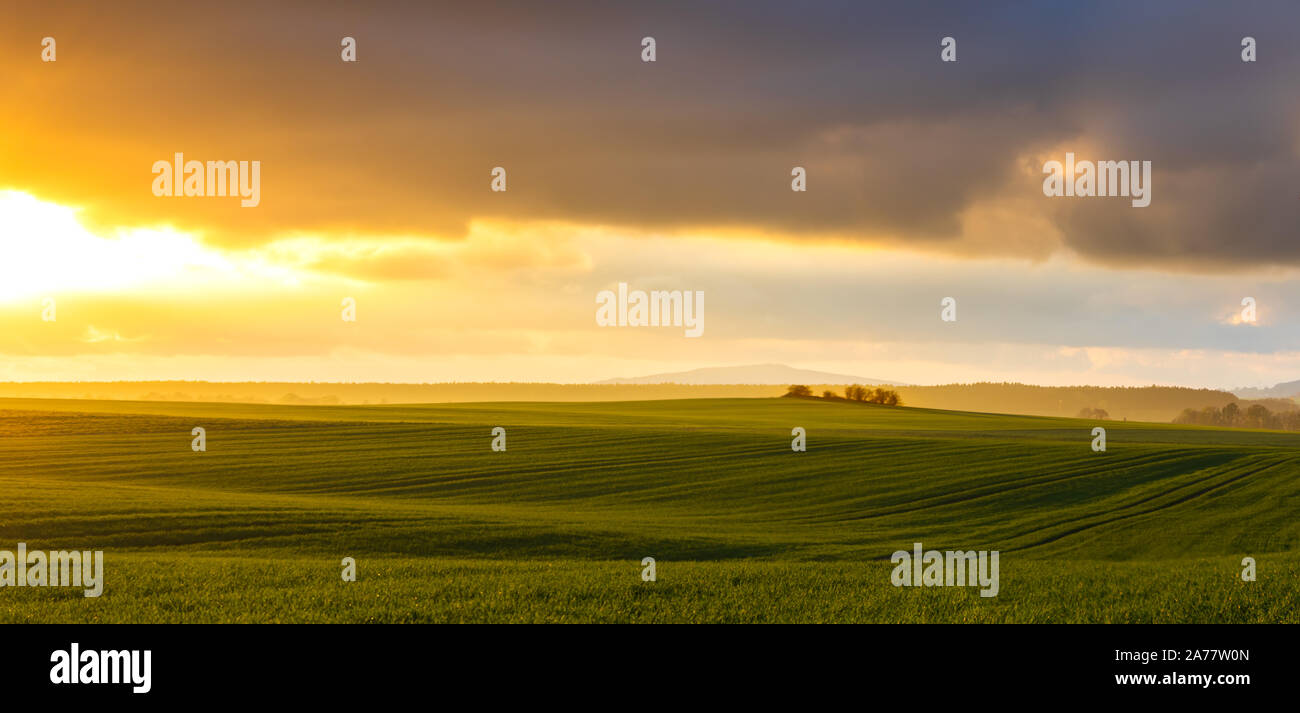 Fumoso rurali paesaggio serale con luce dorata e colline grigio in background e campo con fresco verde in primo piano Foto Stock