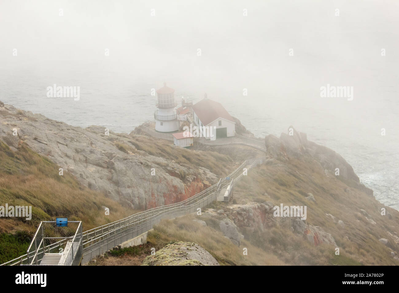 Vista di Point Reyes Lighthouse coperta di nebbia, Marin County, California Foto Stock