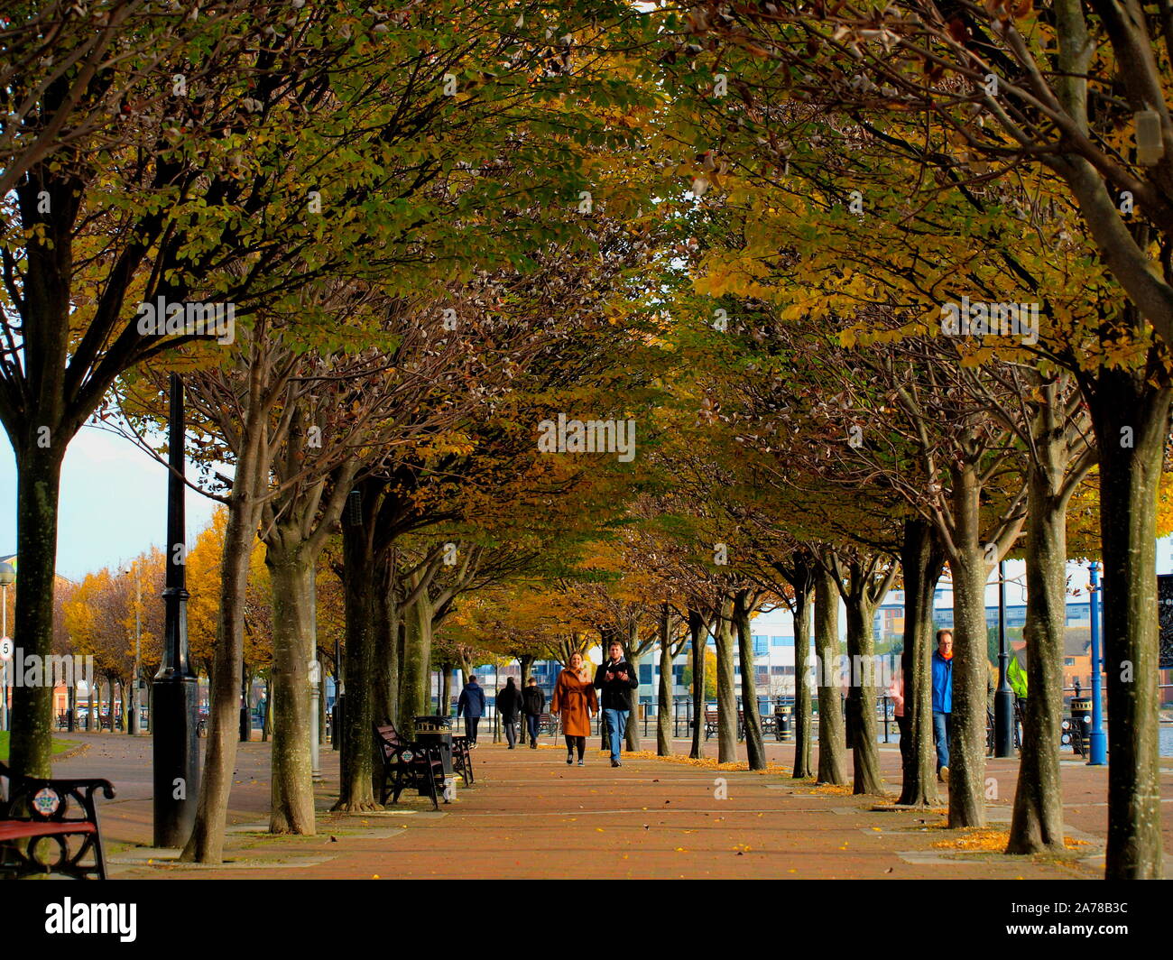 Viale alberato pedonale, media city salford Foto Stock