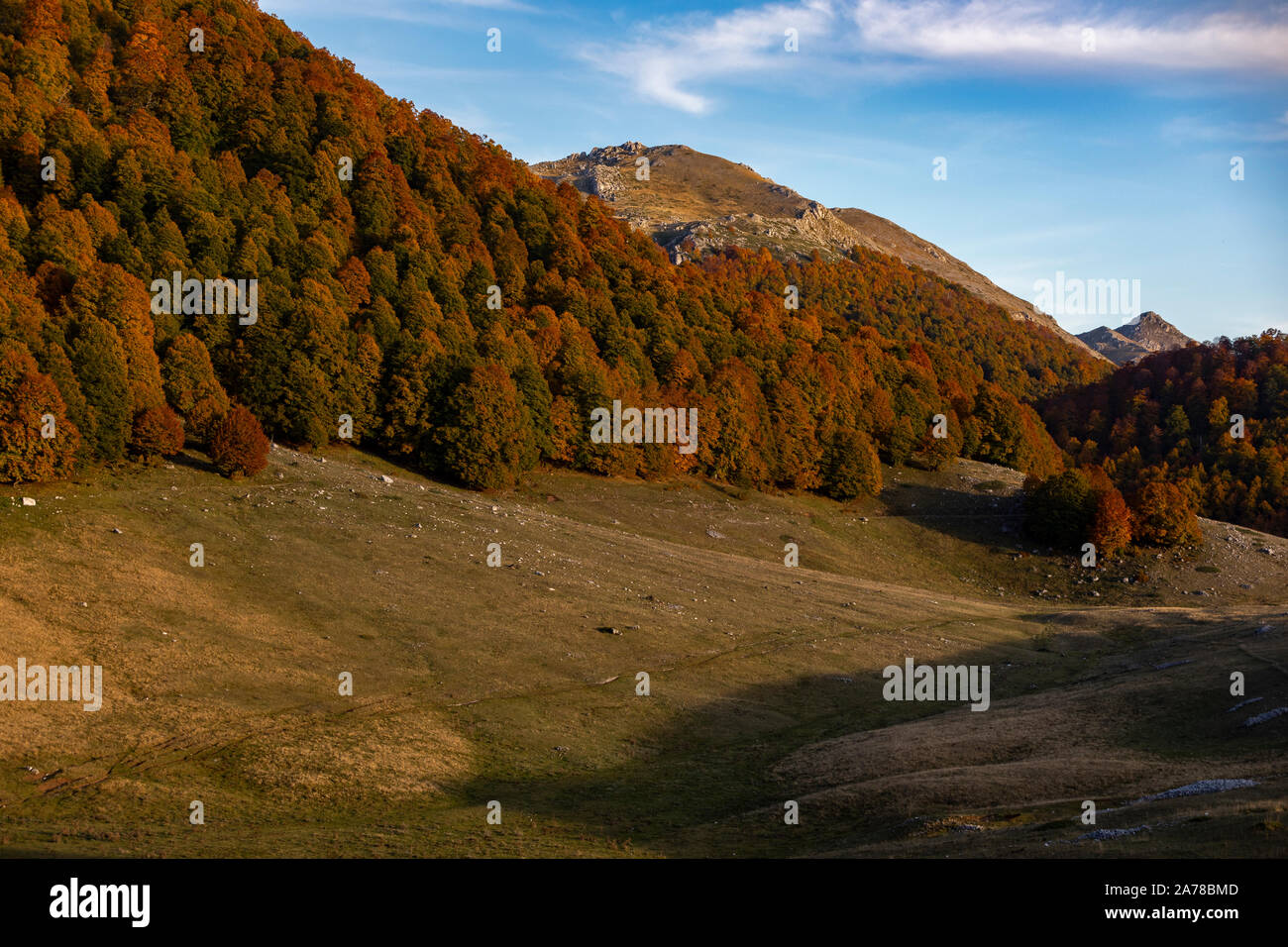 Le colline del Parco Nazionale d'Abruzzo in pieno colore autunnale, Italia Foto Stock
